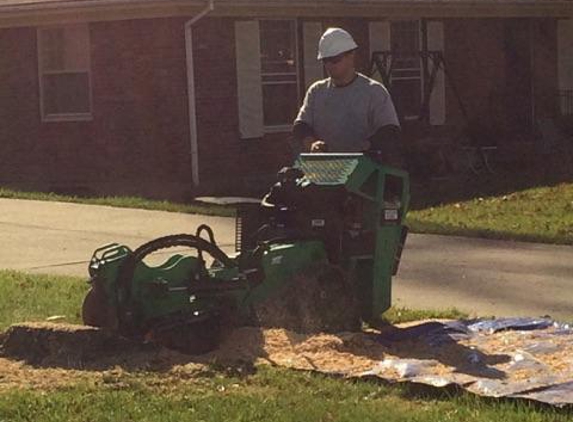 BranchWalker Tree Service - New Albany, IN