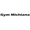 Gymnastics Michiana gallery