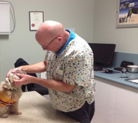 North Bundaberg Vet Surgery - Bundaberg North, QLD