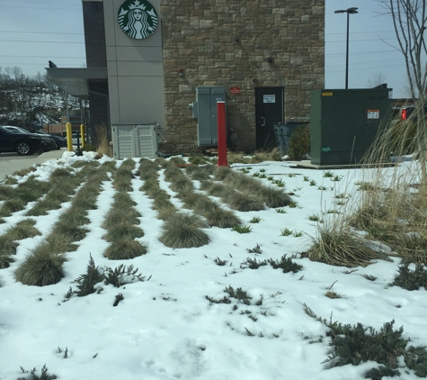 Starbucks Coffee - Waltham, MA