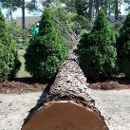 Allen's Tree Service, LLC - Tree Service