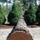 Allen's Tree Service, LLC