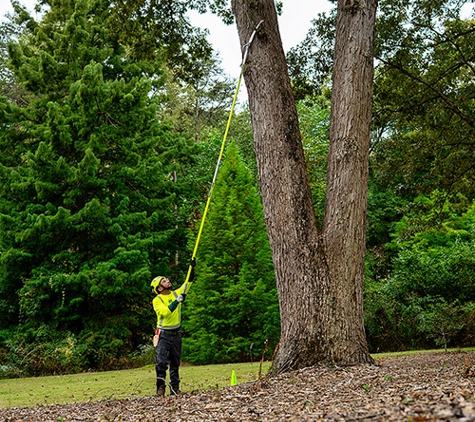 Bartlett Tree Experts - Wake Forest, NC - Wake Forest, NC