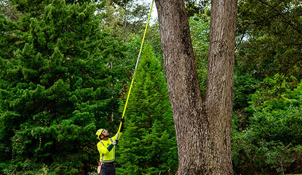 Bartlett Tree Experts - Dublin, PA