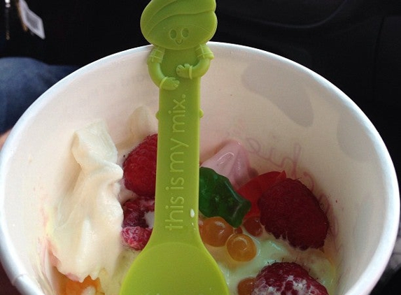 Menchie's Frozen Yogurt - Albany, NY