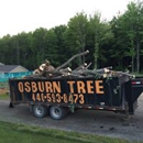 Roesch Tree Service - Firewood