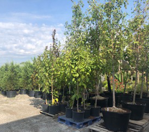 Ken Mulch Inc - Louisville, KY