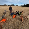 Salty Paws - Daycare & Adventures For Your Dog gallery