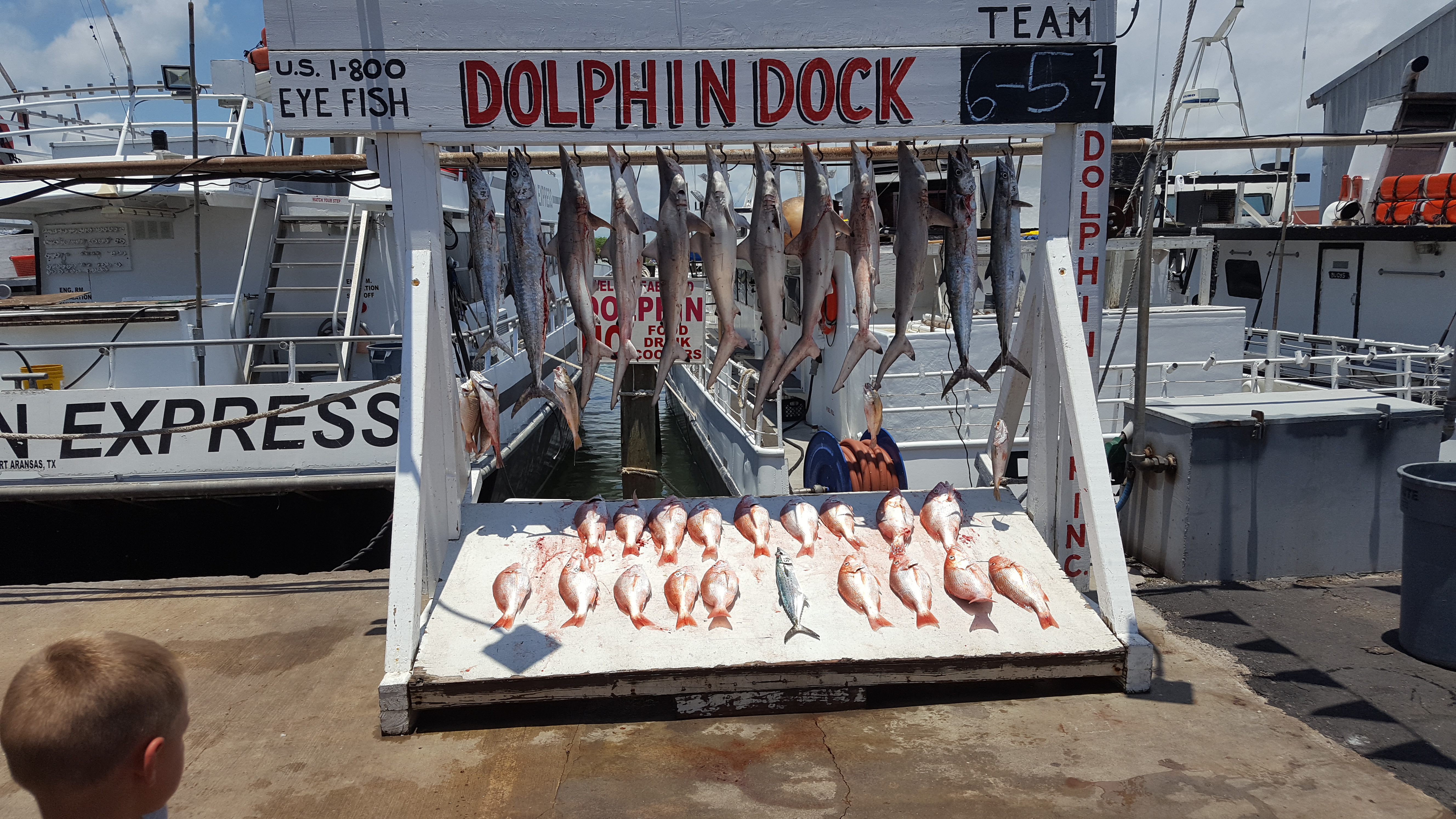 dolphin-dock-300-w-cotter-ave-port-aransas-tx-78373-yp