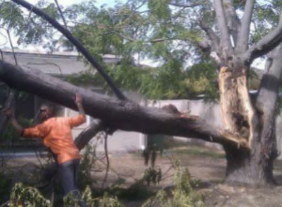 Hamilton's Tree Service - Barragup, WA