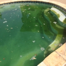 Hunters Pool Service - Swimming Pool Repair & Service