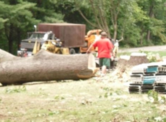 Partners Tree Service - Richmond, VA