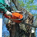 Tree Care Pros - Tree Service