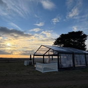 Gallery Image Number 6