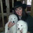 Bear Lake Farms Maremmas - Pet Breeders