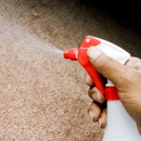 Kiwi Services - Carpet & Rug Cleaners