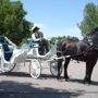 Box Elder Horse & Carriage