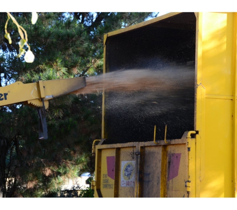 Treebiz Tree Services - Harlaxton, QLD