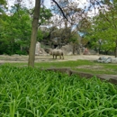 Brookfield Zoo - Zoos