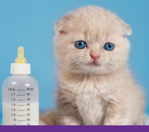 Eastwood Veterinary Clinic - Ballarat East, VIC. Eastwood Vets