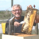Bee Removal Beekeepers