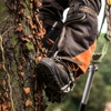 Hufnagel Tree Service gallery