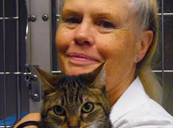 Sacramento Cat Hospital - Carmichael, CA