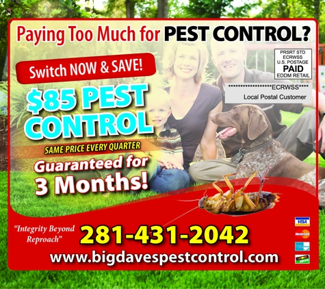 Big Dave's Termite & Pest Control - Fresno, TX