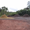 Debary Mulch gallery