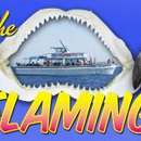Flamingo Deep Sea Fishing - Fishing Charters & Parties