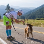 Running with the Bears