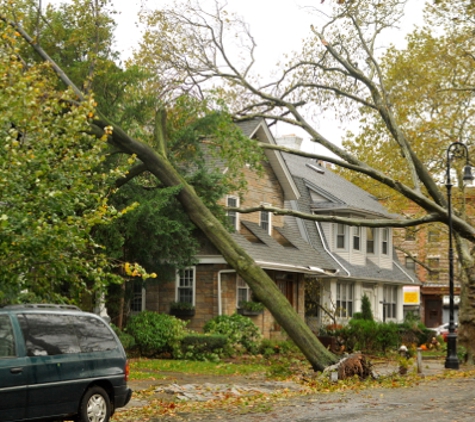 Avery Tree Svc - Atlanta, GA