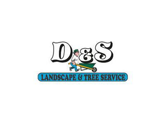 D & S Tree Service - Morganville, NJ