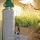 San Jose Hydroponics