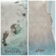 Economy Carpet Cleaning