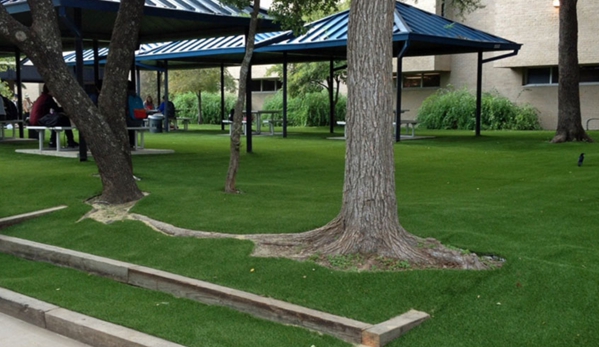 Artificial Grass Turf Pinecrest FL - IntelliTurf - Pinecrest, FL