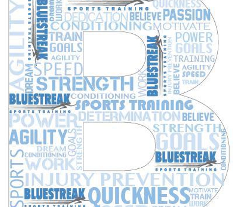 Blue Streak Sports Training - Stamford, CT