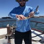 The Long Run Sportfishing