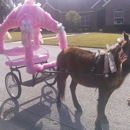 Deb's Party Ponies - Party & Event Planners