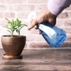 Clements Pest Control Services Inc gallery