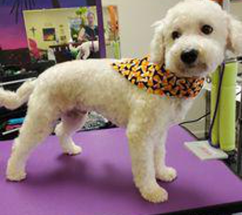 Pet's Paradise Grooming Salon and Spa - Newnan, GA