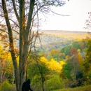 Medix Run Lodges and Cabins - Hotels