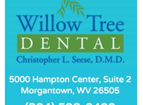 Willow Tree Dental, Christopher Seese, DDS - Morgantown, WV