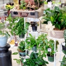 Unionville Florist
