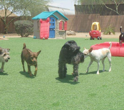 Boulder Falls Pet Resort - Phoenix, AZ