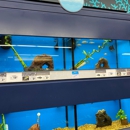 Petco - Pet Stores