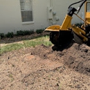 Central Florida Stump Grinding - Arborists