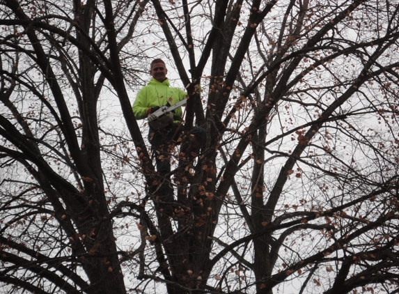 Kottman's Tree Service - Saint Charles, MO