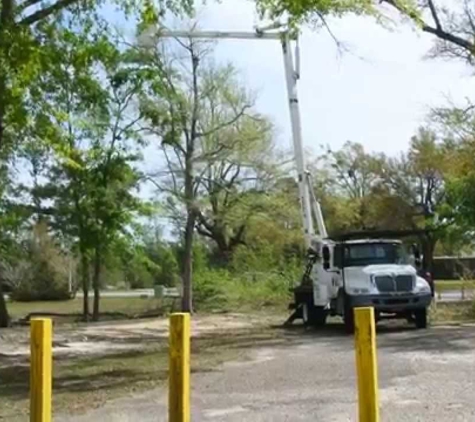 Veteran Tree Service & Construction Inc - Beaumont, TX