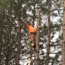 Brian's Tree Service & Bobcat Service - Tree Service